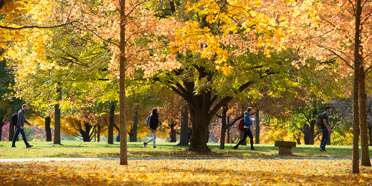 A fall day on the SIUE Stratton Quadrangle.