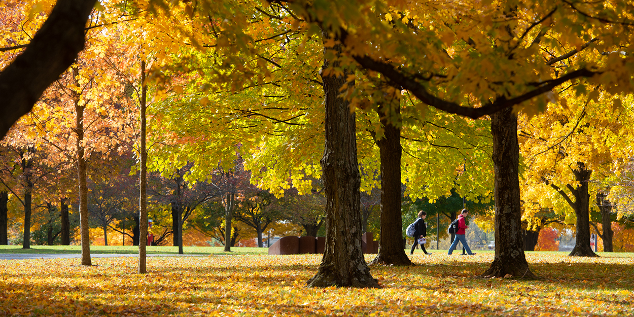 Fall at SIUE on the Stratton Quadrangle