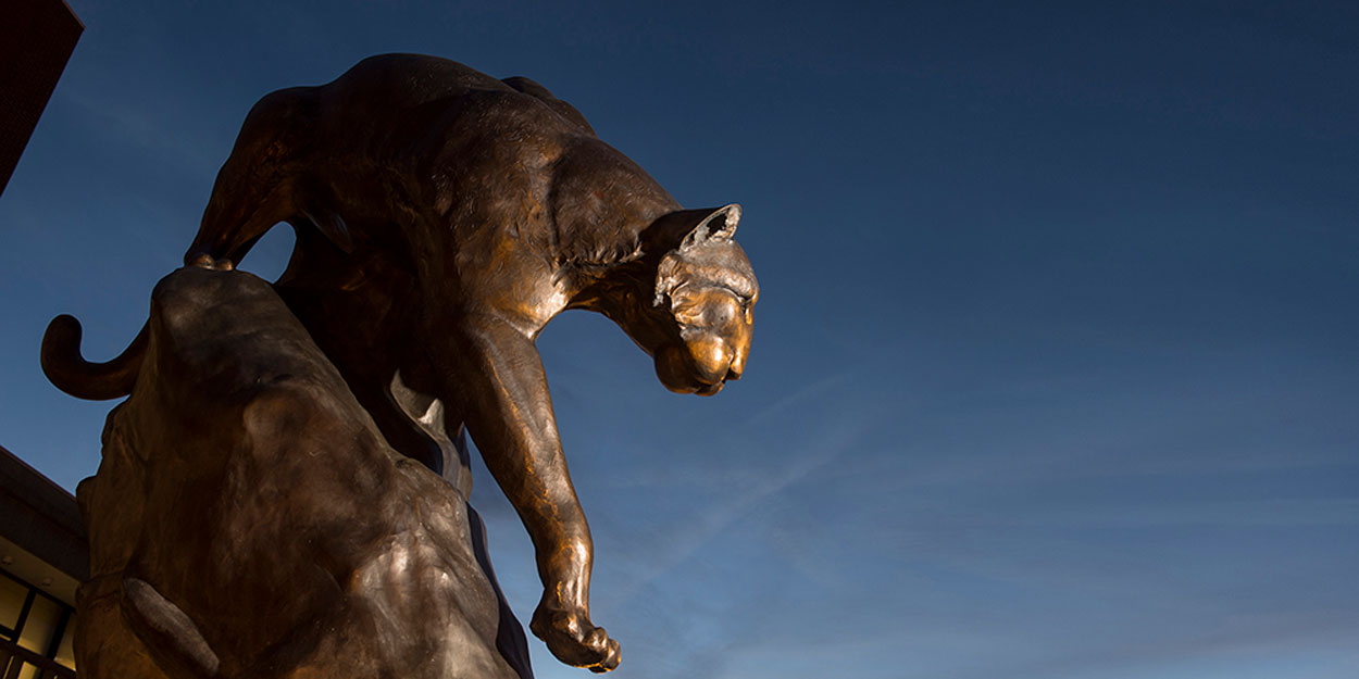 The SIUE Cougar Statue on the Stratton Quadrangle on the SIUE Campus.