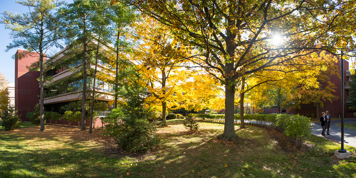 Walkway between Peck Hall and Lovejoy Library during a late afternoon day in the fall. 