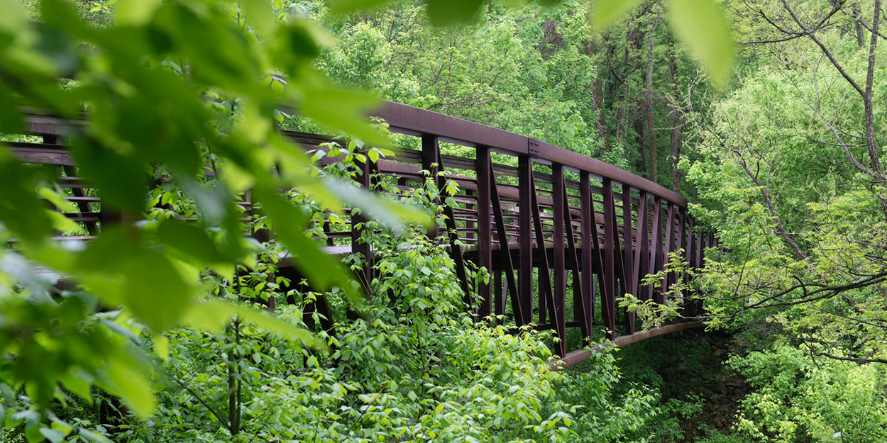 A bridge on campus at SIUE.