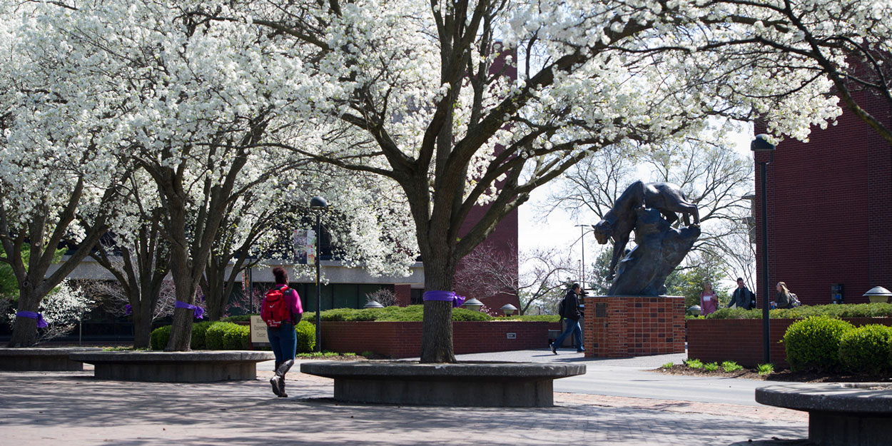 The Stratton Quadrangle at SIUE with the MUC in the background.