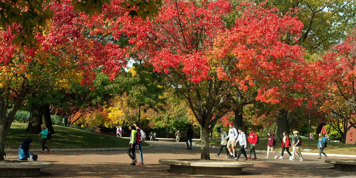 Students at SIUE walking on the Stratton Quadrangle during a fall at mid-day.